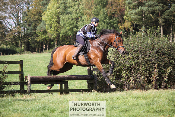 Hurworth Bilsdale Hedge Hop 221