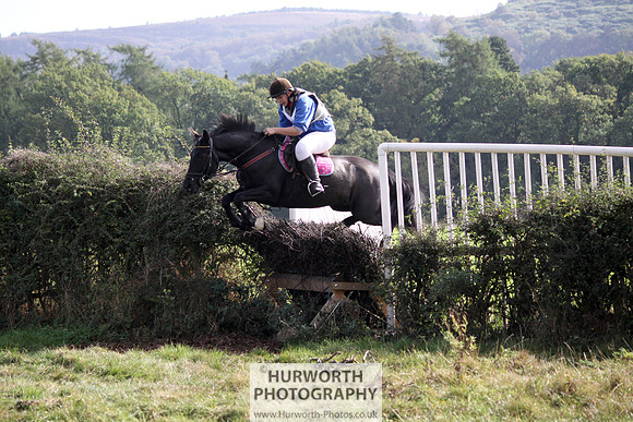 Hurworth Bilsdale Hedge Hop 506