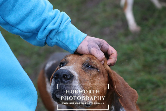 Hurworth Hunt  111
