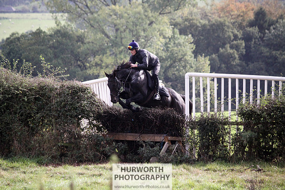 Hurworth Bilsdale Hedge Hop 744