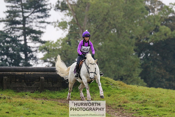 Hurworth Hunter Trial 132