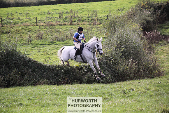 Hurworth Bilsdale Hedge Hop 621