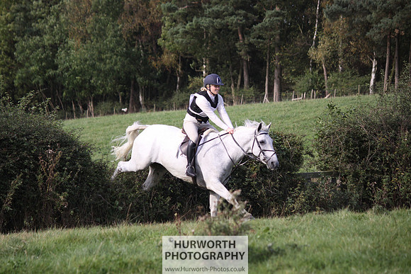 Hurworth Bilsdale Hedge Hop 599
