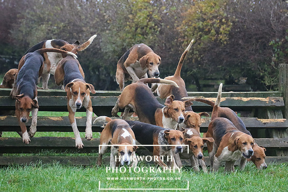 Hurworth Hunt  121
