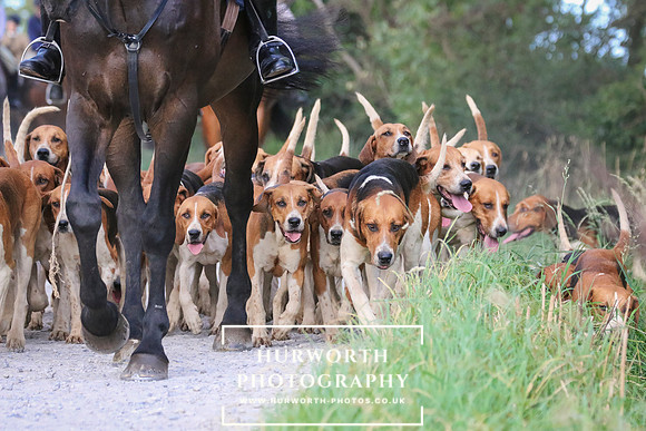 Hurworth Hunt 148