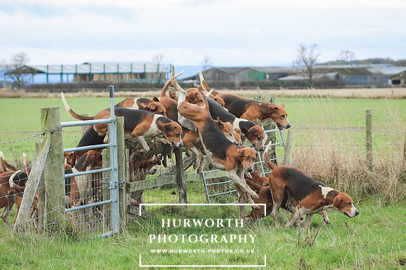 Hurworth Hunt 237