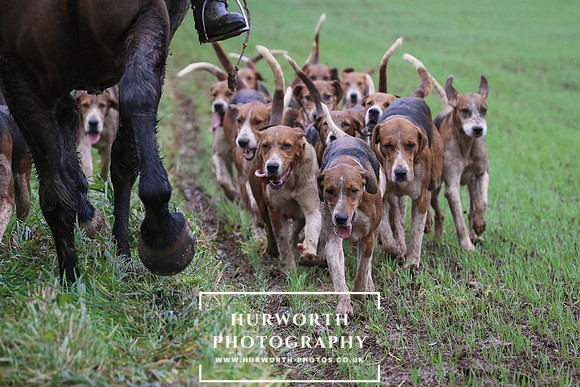 Hurworth Hunt  248