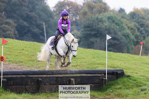Hurworth Hunter Trial 133
