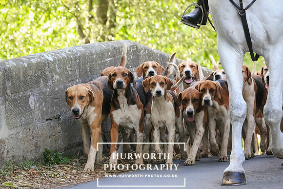 Hurworth Hunt 36