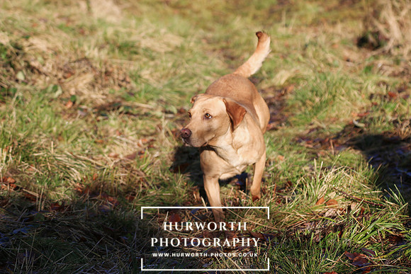 Studley Royal Ladies Shoot 141
