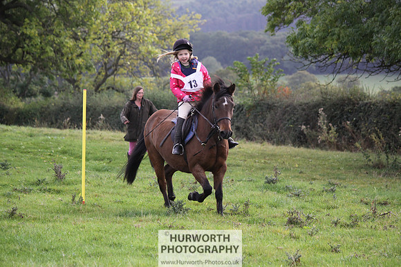 Hurworth Bilsdale Hedge Hop 018