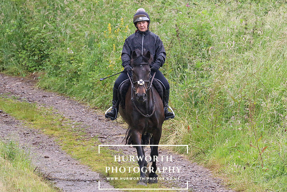Pleasure Ride 111