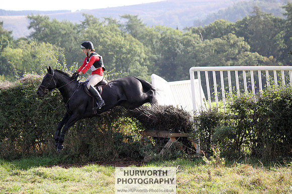 Hurworth Bilsdale Hedge Hop 391