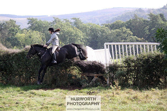 Hurworth Bilsdale Hedge Hop 386