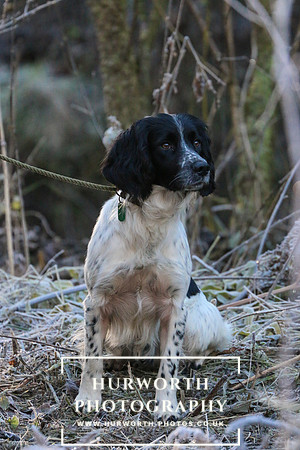 Studley Royal Ladies Shoot 053