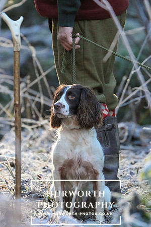 Studley Royal Ladies Shoot 048