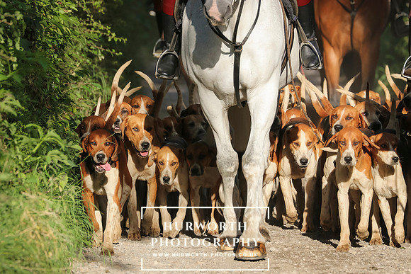 Hurworth Hunt 23