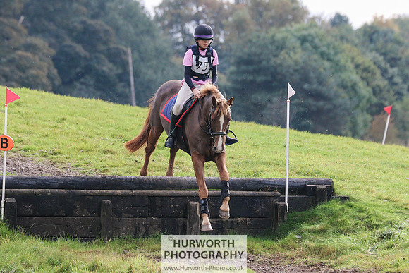 Hurworth Hunter Trial 331