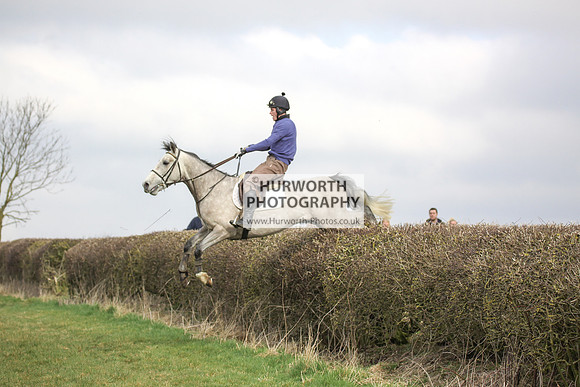 Hurworth Hunt Hedge Hop 011