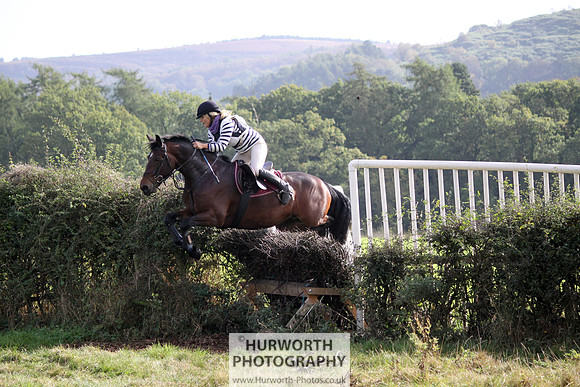 Hurworth Bilsdale Hedge Hop 509