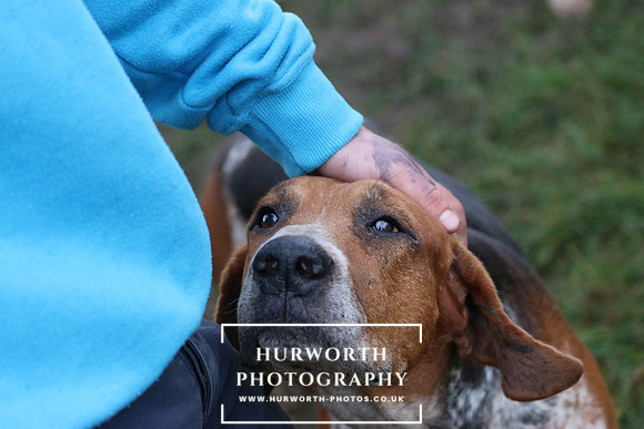 Hurworth Hunt  112