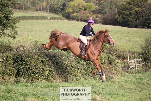 Hurworth Bilsdale Hedge Hop 686