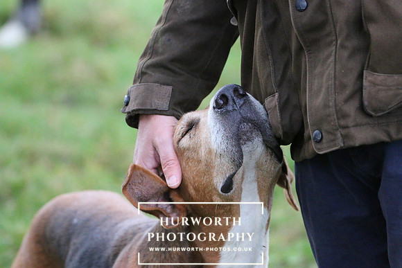 Hurworth Hunt  108