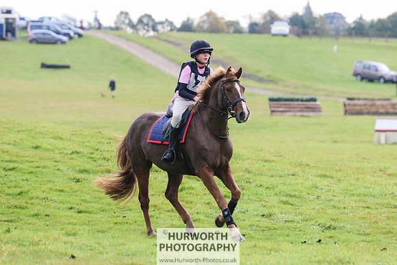Hurworth Hunter Trial 334