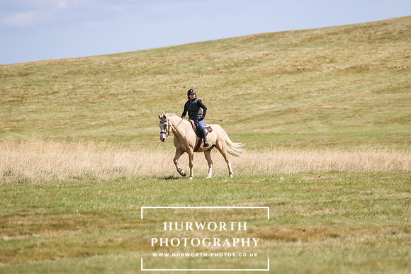 Hurworth Pleasure Ride 112
