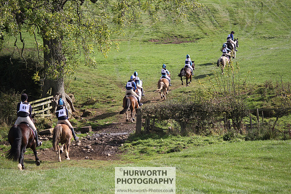 Hurworth Bilsdale Hedge Hop 349