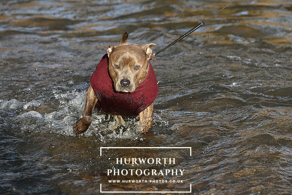 Hurworth Hunt 134