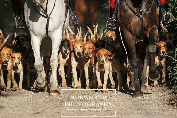 Hurworth Hunt 20