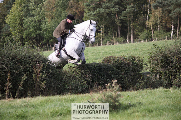 Hurworth Bilsdale Hedge Hop 590