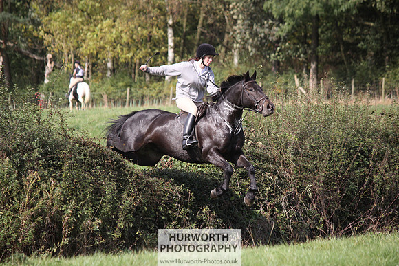 Hurworth Bilsdale Hedge Hop 418