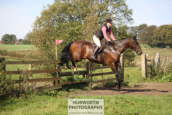 Hurworth Bilsdale Hedge Hop 227