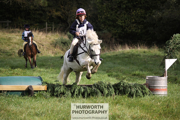 Hurworth Bilsdale Hedge Hop 054