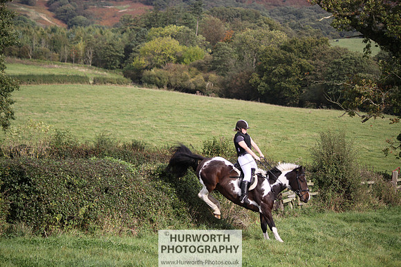 Hurworth Bilsdale Hedge Hop 676