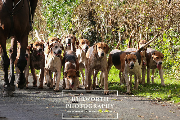 Hurworth Hunt  37