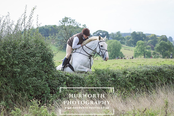Hurworth Hunt 24