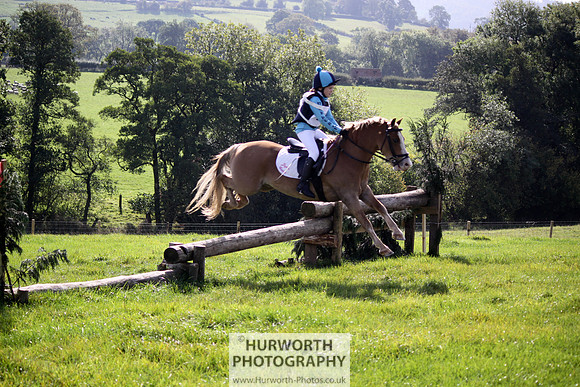 Hurworth Bilsdale Hedge Hop 262