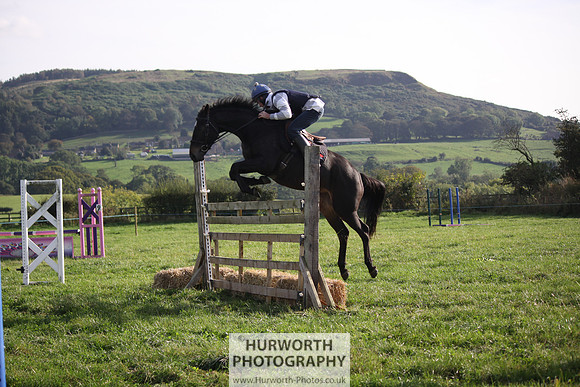 Hurworth Bilsdale Hedge Hop 864