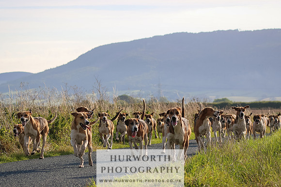 Hurworth Hunt 101