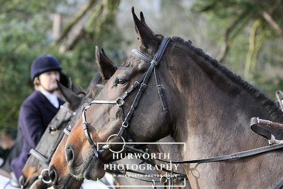 Hurworth Hunt 135