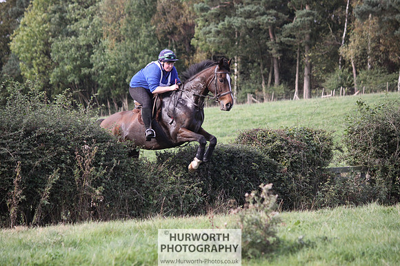 Hurworth Bilsdale Hedge Hop 606
