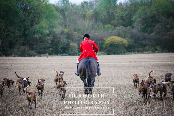 Hurworth Hunt  482