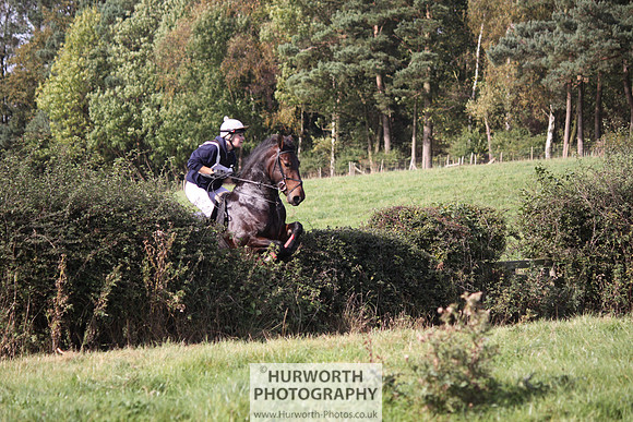 Hurworth Bilsdale Hedge Hop 549