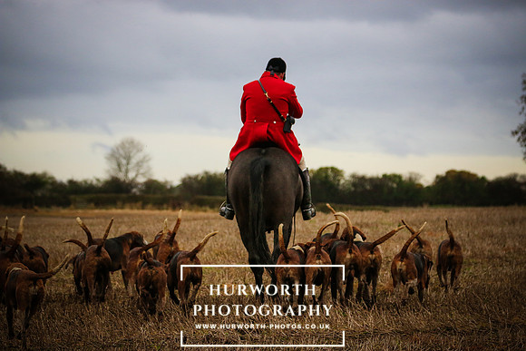 Hurworth Hunt  511