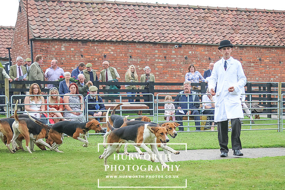 Hurworth Hunt 99