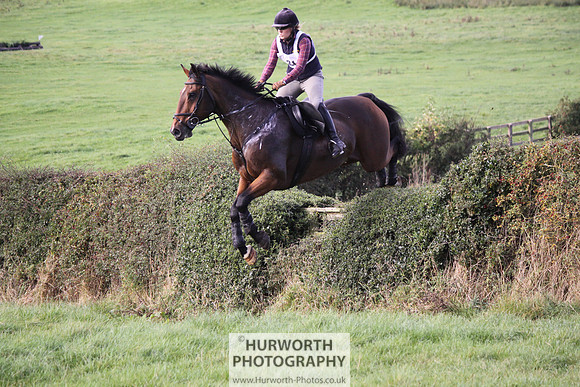 Hurworth Bilsdale Hedge Hop 614