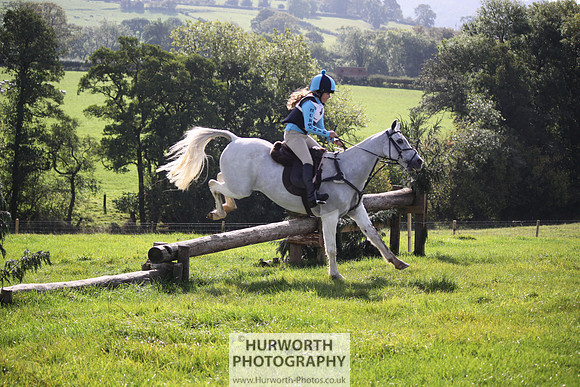Hurworth Bilsdale Hedge Hop 259